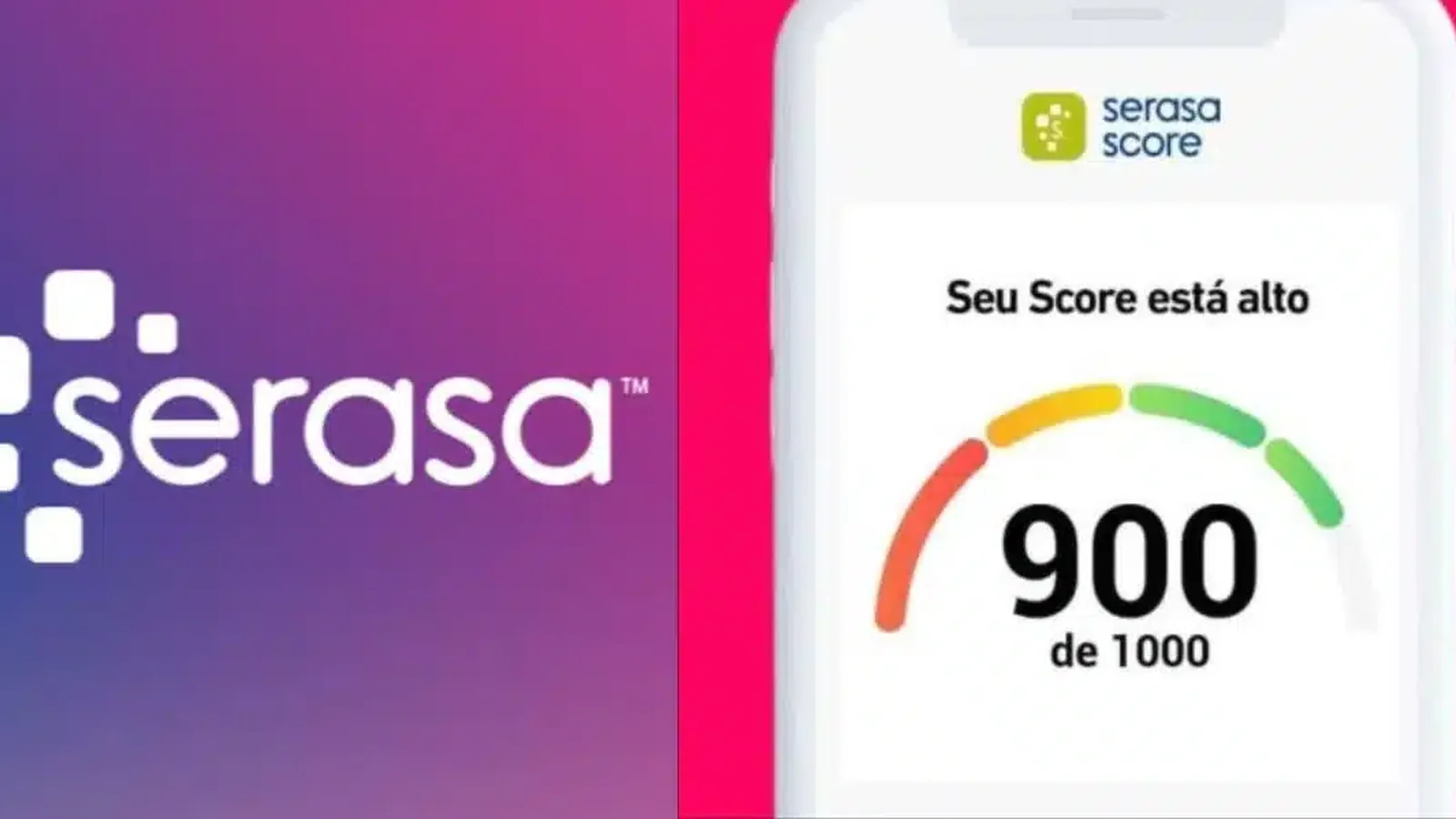 Pessoa analisando relatório de crédito Serasa em computador
