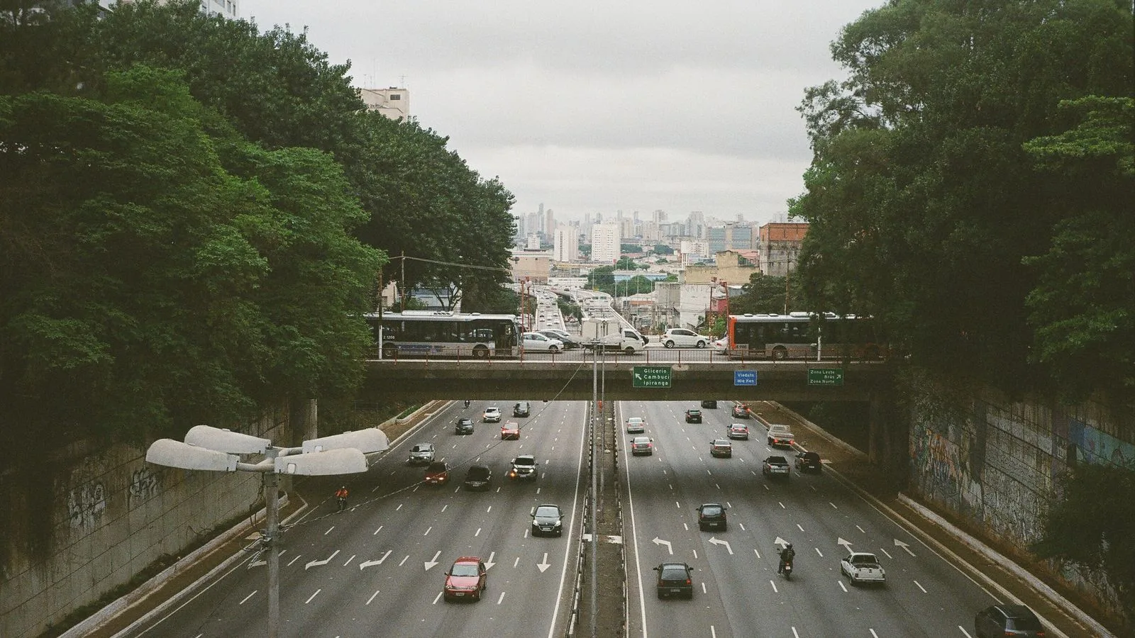 From above of busy asphalt road with cars and vehicles between lush green trees behind concrete walls