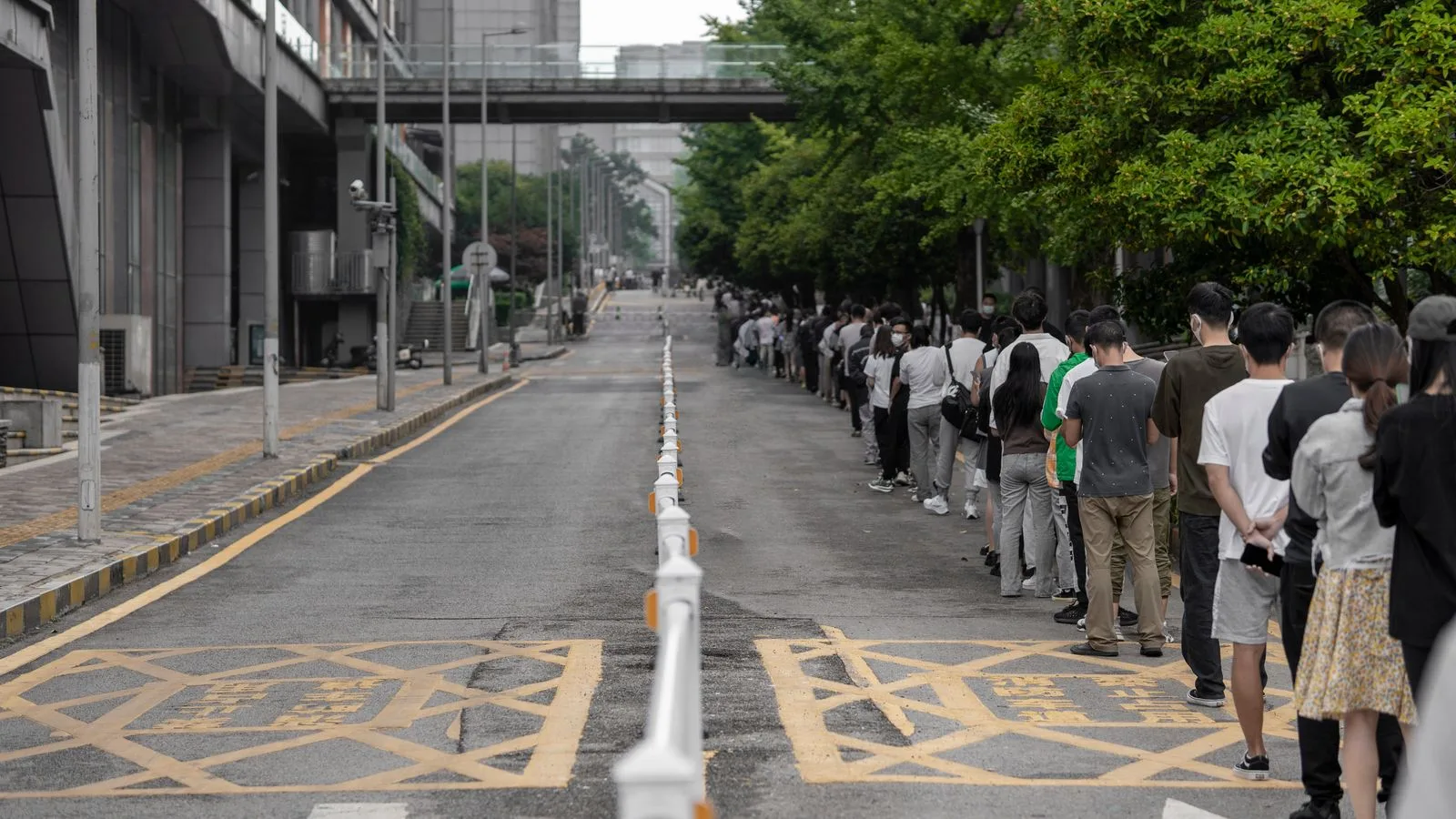 A large group of people lined up along a city street, highlighting urban planning and human patience.