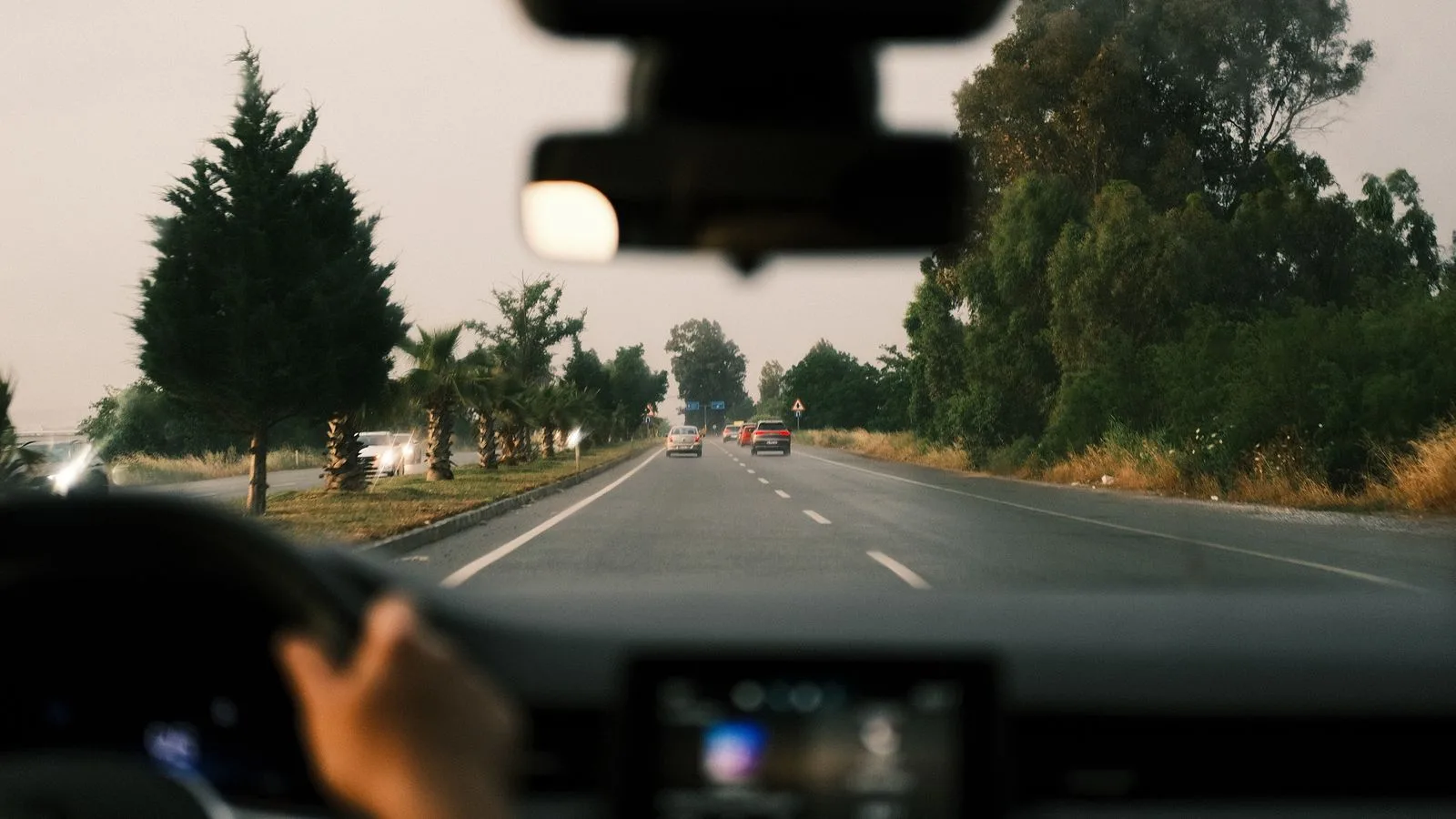 View from inside a moving car driving down a tree-lined open road at dusk.