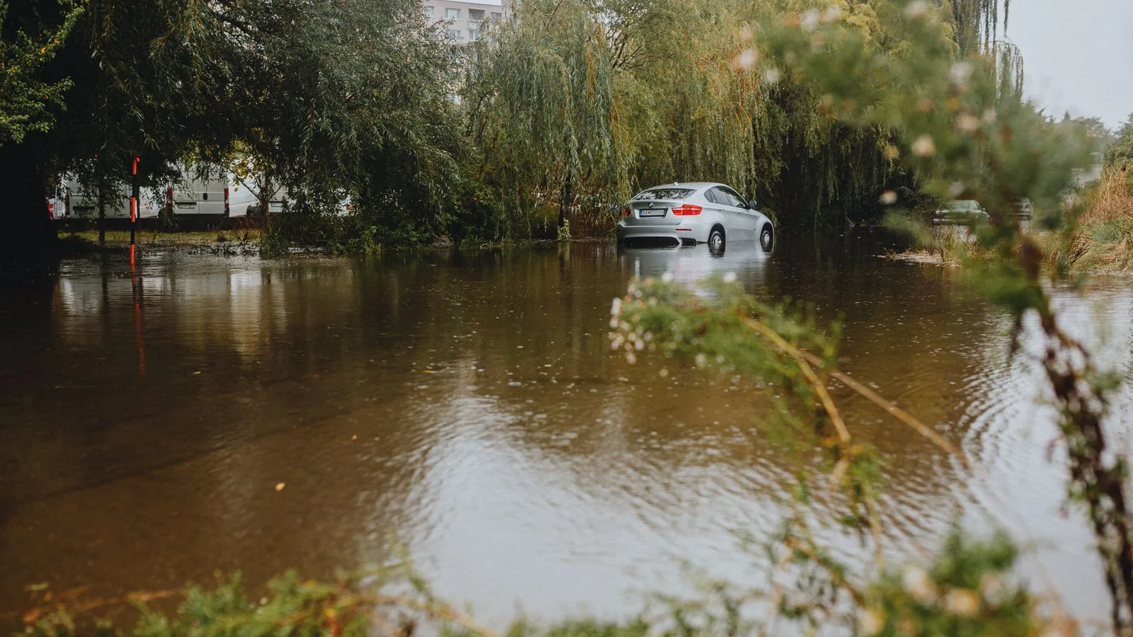 A silver car partially submerged in floodwaters surrounded by trees, reflecting environmental impact.