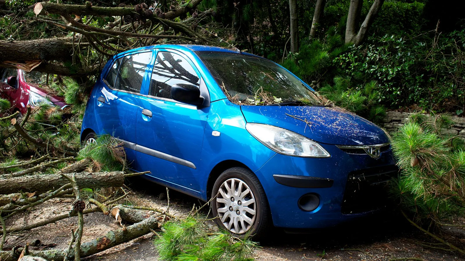 A blue car trapped under fallen trees in a post-storm scene in the UK.