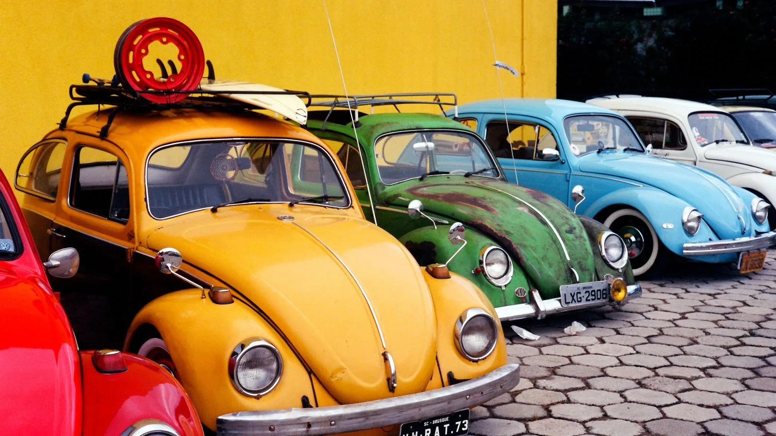 A vibrant row of classic Volkswagen Beetles parked against a yellow wall.