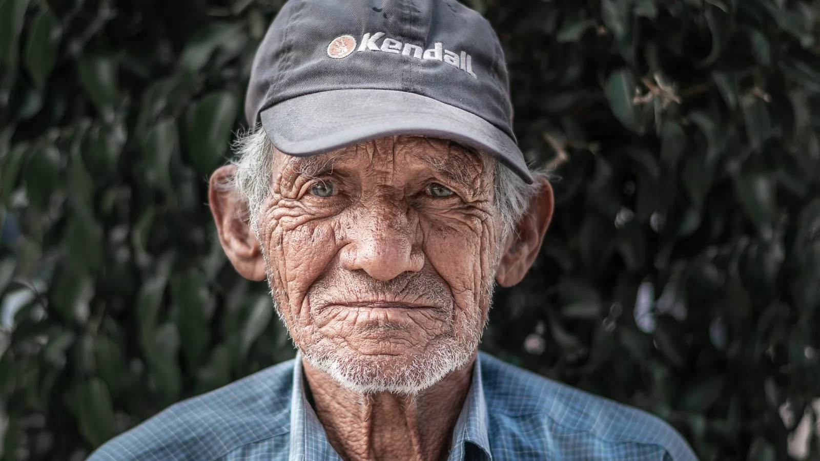 Close-up portrait of an elderly man wearing a cap, outdoors against foliage.
